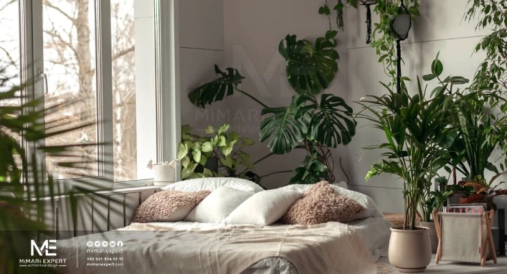 زاوية النباتات والمساحة الخضراء