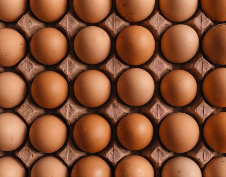 Produits à base de poulet en Turquie