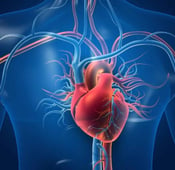 أمراض القلب: الأنواع والأسباب والأعراض