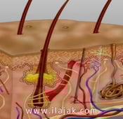 زراعة الشعر في تركيا هدف الكثير من السياح السعوديين