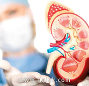 Organ transplantation procedures