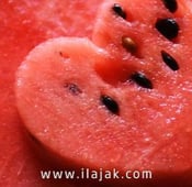 فوائد بذور البطيخ: قيمة غذائية كبيرة