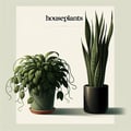 Houseplants