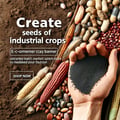 Graines de Cultures Industrielles