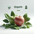 Aliments biologiques
