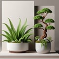Plantes artificielles