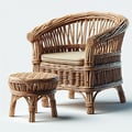 Wicker Furniture Made of Twigs