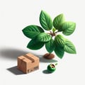 Plants  de Kaki