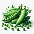 Aubergine